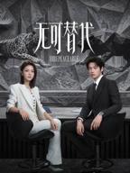 无可替代电视剧全集在线看